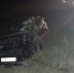За дежурные сутки подразделениями ГИБДД выявлено 803 нарушения ПДД, задержано 20  нетрезвых водителей - Газета Дон