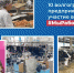 10 волгоградских предприятий приняли участие во флешмобе #МыРаботаем - Газета Дон