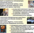 Пожарная безопасность в осенний период - Администрация Клетского района
