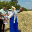 Начало уборочной страды - Газета Дон