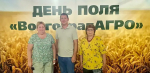 День поля