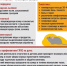 Геморрагическая лихорадка с почечным синдромом (ГЛПС) - Газета Дон