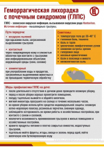 Геморрагическая лихорадка с почечным синдромом (ГЛПС)